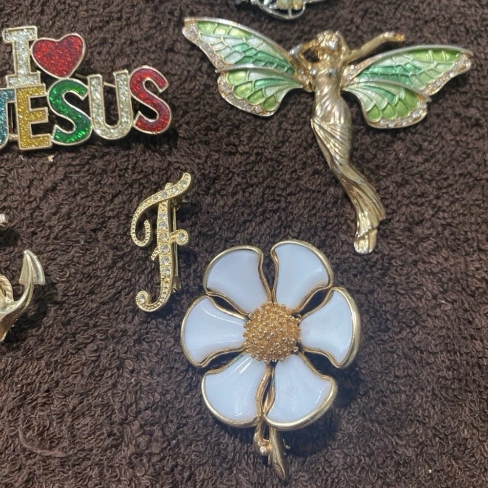 Assorted Decorative Brooch Set - image 2
